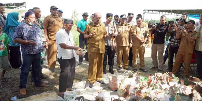 Afandin Hadiri Tradisi Jamu Sawah, Warga Selotong Minta Dibangunkan Irigasi