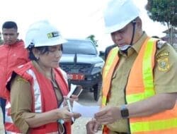 Bupati Eddy Berutu Targetkan Akhir Tahun Pengerjaan Hotmix Panji Dabutar-Lae Gerat Rampung