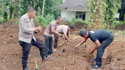 Polsek Salapian Laksanakan Giat Penanaman Cabai