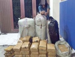 Direktorat Reserse Narkoba Poldasu Gagalkan Peredaran 200 Kg Ganja