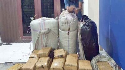 Direktorat Reserse Narkoba Poldasu Gagalkan Peredaran 200 Kg Ganja