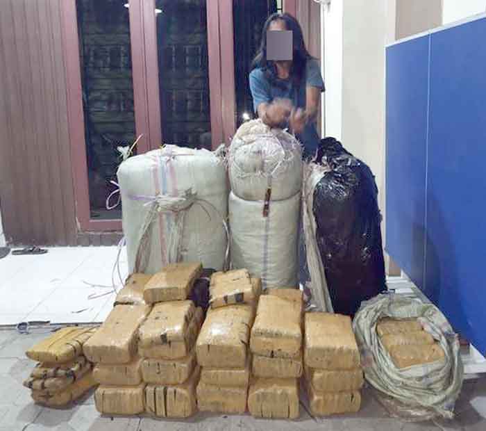 Direktorat Reserse Narkoba Poldasu Gagalkan Peredaran 200 Kg Ganja