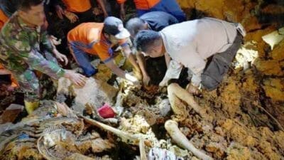 3 Orang Tewas Tertimbun Longsor, Kapolres Tapteng Pimpin Evakuasi