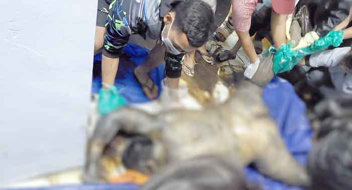 Polsek Binjai Utara Tangani Temuan Mayat Seorang Laki-laki