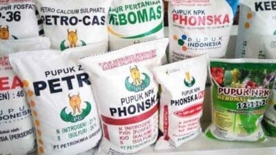 Pemkab Dairi Terus Atasi Permasalahan Pupuk