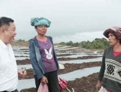 Eddy Berutu: Program Kawasan Pertanian Terpadu Wujud Agri Unggul