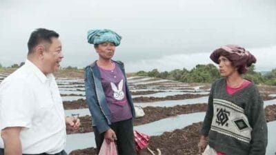 Eddy Berutu: Program Kawasan Pertanian Terpadu Wujud Agri Unggul