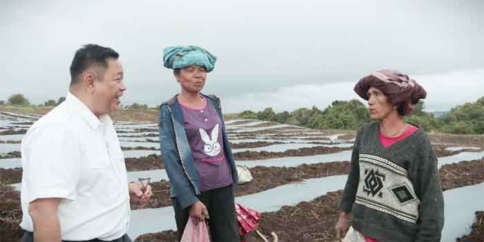 Eddy Berutu: Program Kawasan Pertanian Terpadu Wujud Agri Unggul