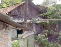 Bandar Judi Tembak Ikan Operasi Lagi di GG Sawit Helvetia Medan Labuhan