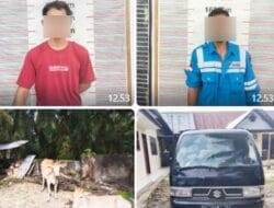 Polsek Besitang Amankan Pelaku Tindak Pidana Pencurian Hewan Ternak