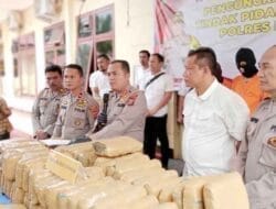 Sat Narkoba Polres Langkat Amankan 233 Kg Ganja dan 1 Kg Sabu