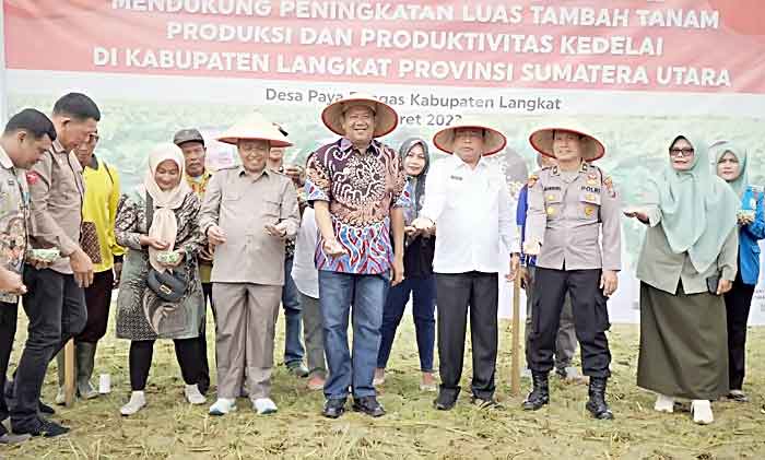 Afandin Ingin Jadikan Langkat Sentra Tanaman Kedelai di Sumut