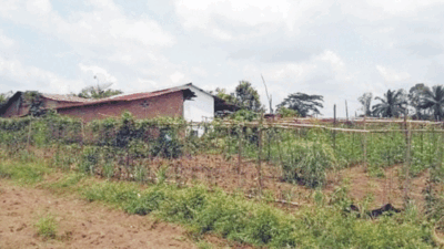 PTPN III Komitmen Jaga Kondusifitas Areal HGU di Siantar