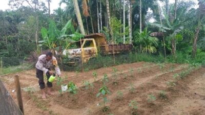 Anggota Polisi Polsek Pakkat Ubah Lahan Tidur Jadi Kebun Sayur