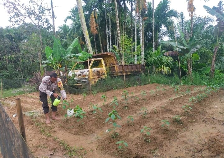 Anggota Polisi Polsek Pakkat Ubah Lahan Tidur Jadi Kebun Sayur