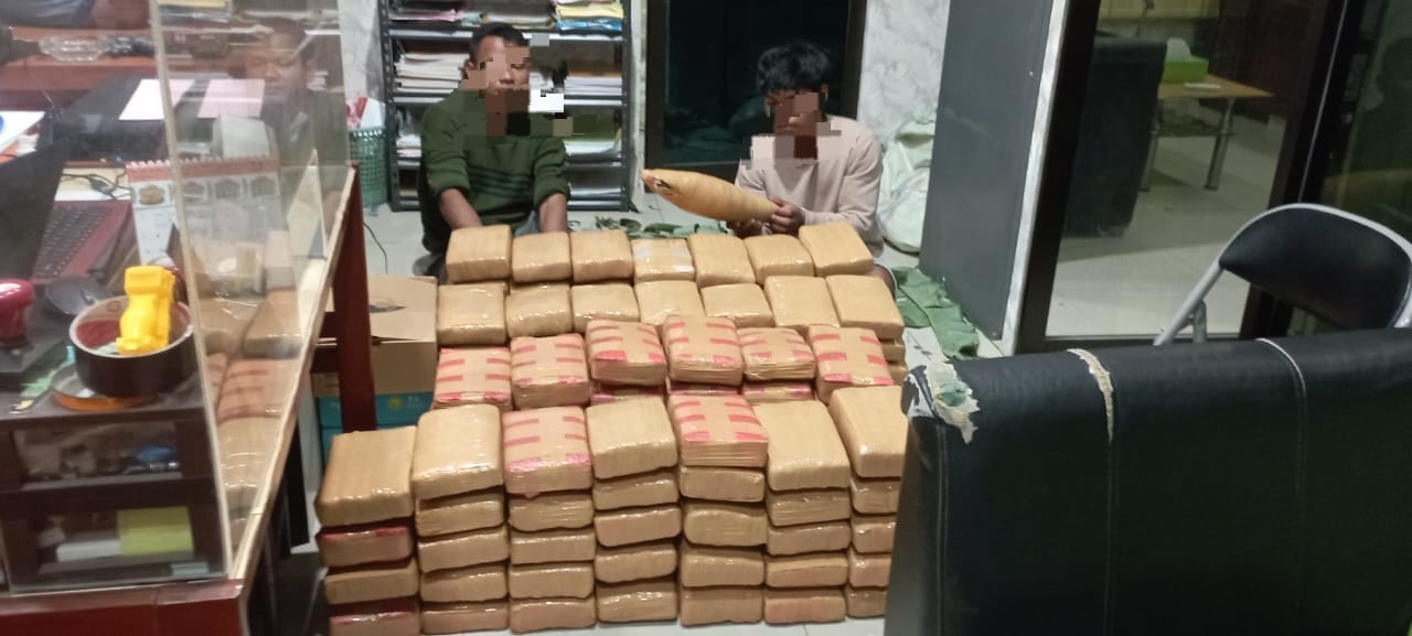 Ditresnarkoba Polda Sumut Tangkap 3 Pelaku Pembawa 135 Kg Ganja