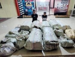 Ditresnarkoba Polda Sumut Amankan Dua Warga Aceh