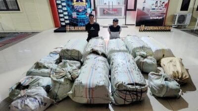 Ditresnarkoba Polda Sumut melalui Unit 2 Subdit I dan Unit 2 berhasil mengungkap kasus peredaran narkoba jenis tanaman  ganja dan berhasil mengamankan 2 Pelaku warga Aceh