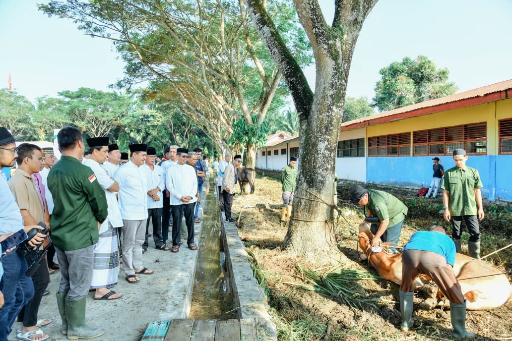 Idul Adha 1444 H, Pemkab Batu Bara Sembelih 40 Ekor Hewan Kurban