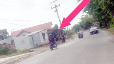 Judi Ikan Ikan Cici Jalan Rahmad Budi Seberang Showroom Honda Ramai Pemain