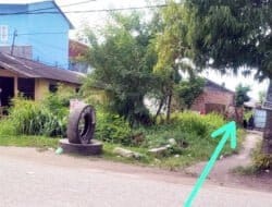 Judi Ikan-Ikan Cici di Jalan Rahmad Buddin Paluh Nibung Diduga Jadi “Sarang” Narkoba