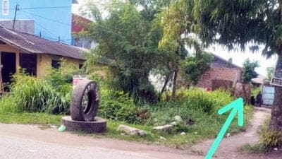 Judi Ikan-Ikan Cici di Jalan Rahmad Buddin Paluh Nibung Diduga Jadi “Sarang” Narkoba