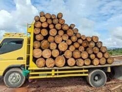 DLHK Sumut Amankan Truk Diduga Angkut Kayu Illegal Logging di Taput