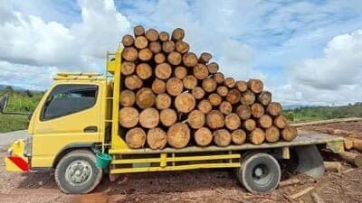 DLHK Sumut Amankan Truk Diduga Angkut Kayu Illegal Logging di Taput