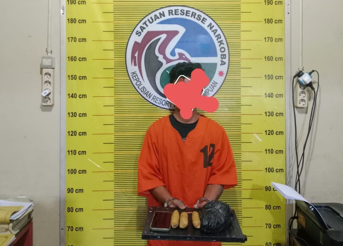 Sat Resnarkoba Polres Psp Bekuk Pengedar 110 Daun Ganja di Kampung Toba