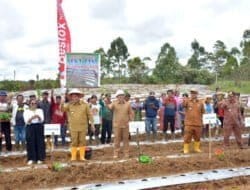 Eddy Berutu Bagikan Alat Pertanian 5 Unit