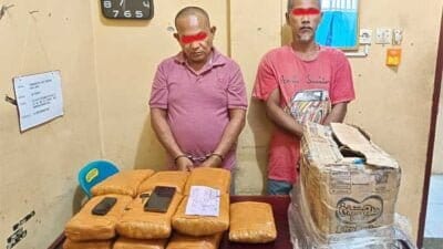 Satres Narkoba Polres Labuhanbatu Gagalkan Pengiriman 12,6 Kg Ganja dari Medan Menuju Riau