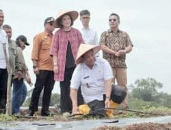 Bupati Dairi Terapkan Mekanisme Fertigasi di KPT Parbuluan