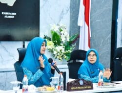 Hj Maya Indriasari Launching dan Sosialisasi Aplikasi e-Reporting PKK