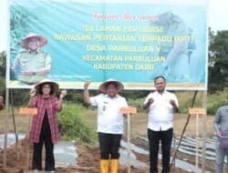 Kata Mereka Tentang Program Unggulan Bupati Dairi KPT Parbuluan
