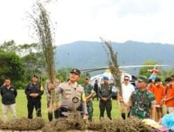 Kapoldasu dan Pangdam I/BB Pimpin Operasi Perburuan Ladang Ganja Terluas di Madina