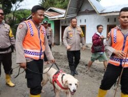 Polda Sumut Turunkan Anjing Pelacak Bantu Pencarian Korban Longsor di Humbahas