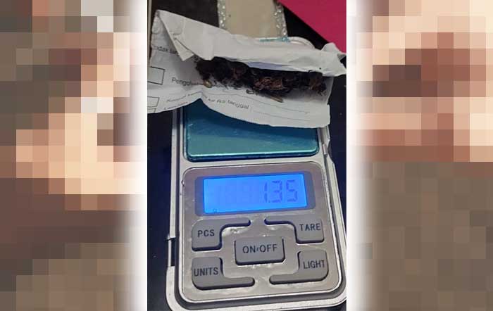 Pesta Ganja di Kedai Tuak, 6 Pria Diamankan Polres Labuhanbatu