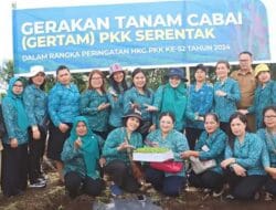 Peringatan 52 Tahun HKG, TP PKK Dairi Gertam 2000 Batang Cabai