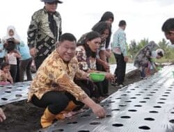 Proyek HDDAP Segera Bergulir di Dairi, 606 Ha Lahan Disiapkan