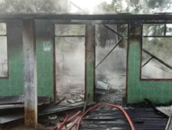 Gerak Cepat Pemkab Dairi Tangani Sijago Merah