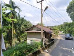 Camat Pancur Batu Diduga Gagal Rawat Penghijauan