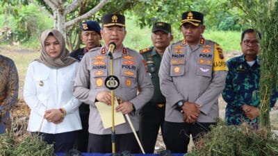 Dengan Teknologi, Polda Sumut Temukan Ladang Ganja Seluas 5 Hektare