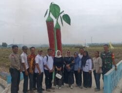 Forkopimca Datuk Limapuluh Pesisir Serta Anggota DPRD Komisi II Batu Bara Kunjungi Petani Cabai Lubuk Cuek