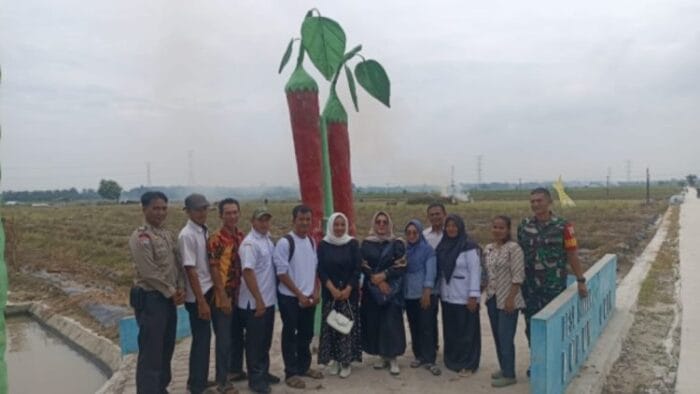 Forkopimca Datuk Limapuluh Pesisir Serta Anggota DPRD Komisi II Batu Bara Kunjungi Petani Cabai Lubuk Cuek