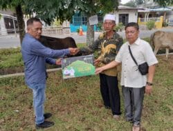 Pemkab Batu Bara Serahkan 30 Ekor Hewan Qurban ke Masyarakat