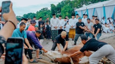 Pemko Medan Sembelih 212 Hewan Kurban