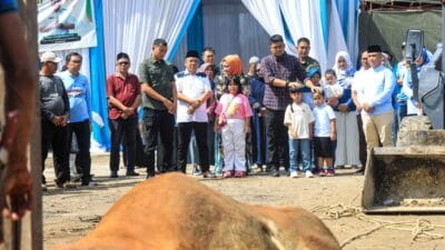 Bobby Saksikan Penyembelihan 92 Hewan Kurban Jajaran Disdikbud Medan