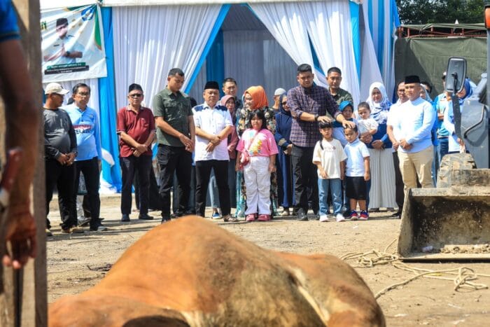 Bobby Saksikan Penyembelihan 92 Hewan Kurban Jajaran Disdikbud Medan