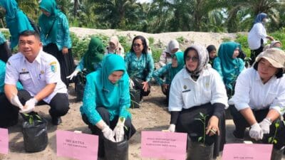 Dinas Pertanian dan Perkebunan Batu Bara Lakukan Gertam Cabai Merah