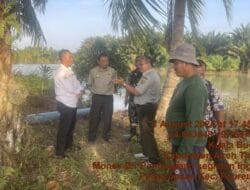 Pemkab Aceh Timur Optimasi Lahan